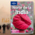 NORTE DE LA INDIA, Guía de viaje Lonely planet